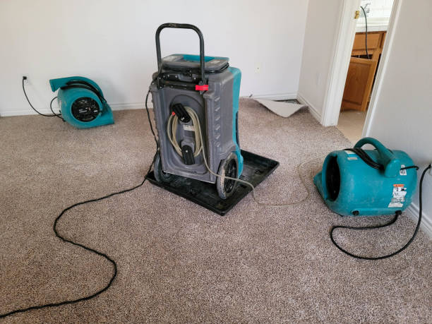Best Emergency water extraction  in Chandler, IN