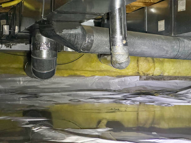 Best Ceiling water damage repair  in Chandler, IN